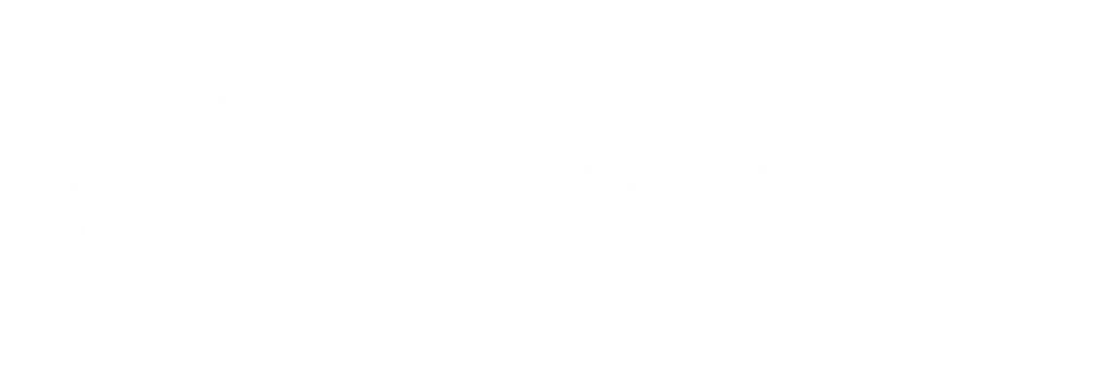 WestLand Resources